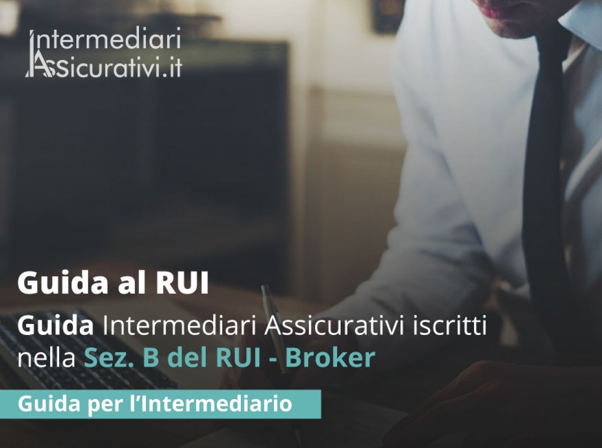 sezione-b-rui-ivass-guida